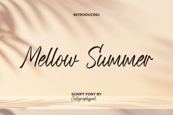 Mellow Summer: A Designer’s Practical Review
